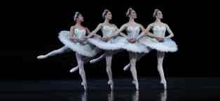 swan lake